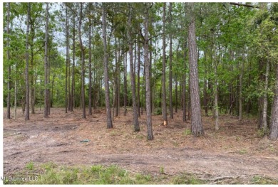 Beach Lot For Sale in Pass Christian, Mississippi