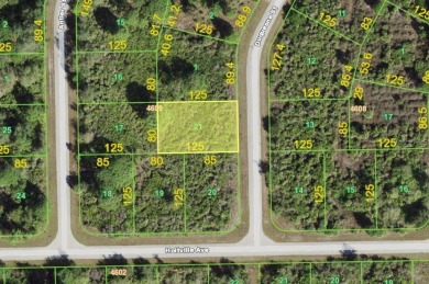 Beach Lot For Sale in Port Charlotte, Florida