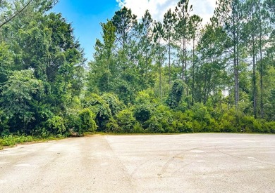 Beach Lot For Sale in Cedar Key, Florida