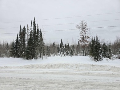 Beach Acreage For Sale in L Anse, Michigan