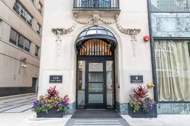 Beach Condo For Sale in Chicago, Illinois
