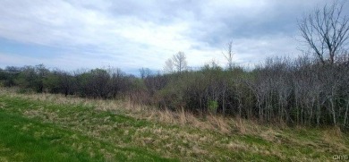 Beach Acreage For Sale in Cape Vincent, New York