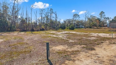 Beach Lot For Sale in Steinhatchee, Florida
