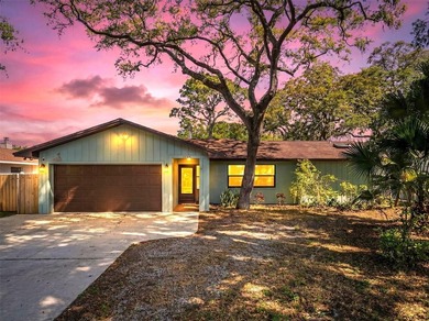Beach Home For Sale in Palm Harbor, Florida