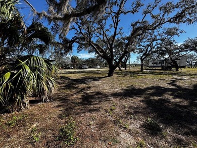 Beach Lot For Sale in Steinhatchee, Florida