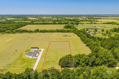 Beach Acreage For Sale in Lillian, Alabama