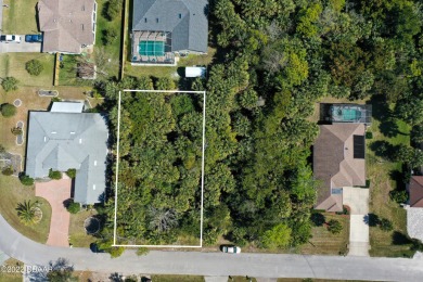 Beach Lot Off Market in Palm Coast, Florida