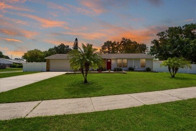 Beach Home For Sale in Palm Harbor, Florida
