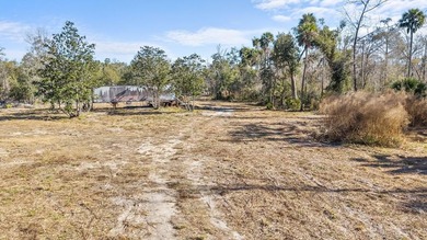 Beach Acreage For Sale in Steinhatchee, Florida