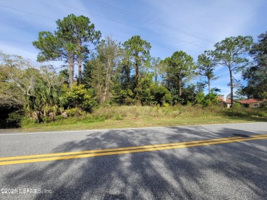 Beach Lot For Sale in Palm Coast, Florida