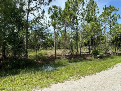 Beach Lot For Sale in Punta Gorda, Florida