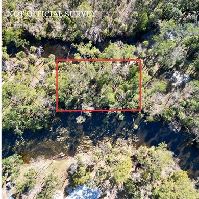 Beach Lot For Sale in Steinhatchee, Florida