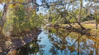 Beach Home For Sale in Steinhatchee, Florida