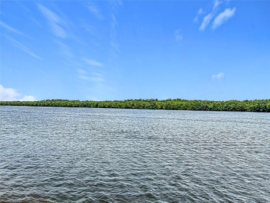 Beach Condo For Sale in Ruskin, Florida