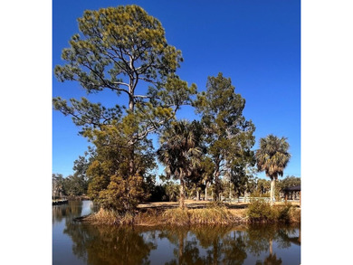 Beach Lot For Sale in Suwannee, Florida