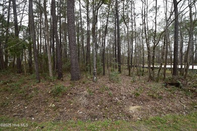 Beach Lot For Sale in New Bern, North Carolina