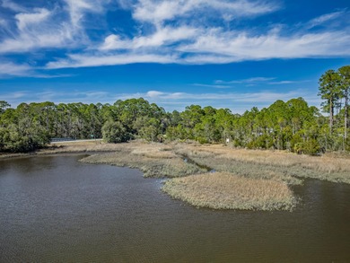 Beach Lot For Sale in Panacea, Florida