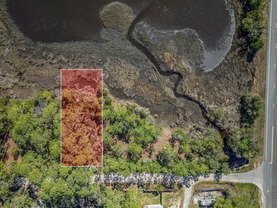 Beach Lot For Sale in Panacea, Florida