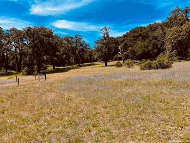 Beach Acreage For Sale in Carmel, California