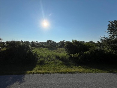 Beach Lot For Sale in Port Charlotte, Florida