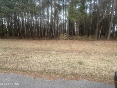 Beach Lot For Sale in Hertford, North Carolina