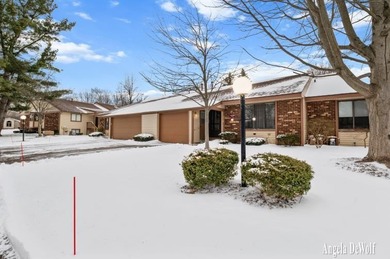 Beach Condo For Sale in Holland, Michigan