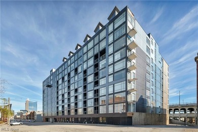 Beach Condo For Sale in Cleveland, Ohio