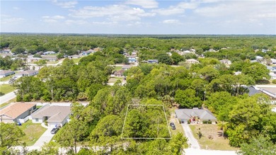 Beach Lot For Sale in Vero Beach, Florida