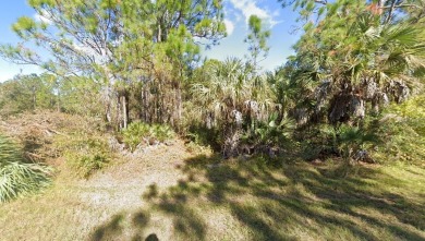 Beach Lot For Sale in Punta Gorda, Florida