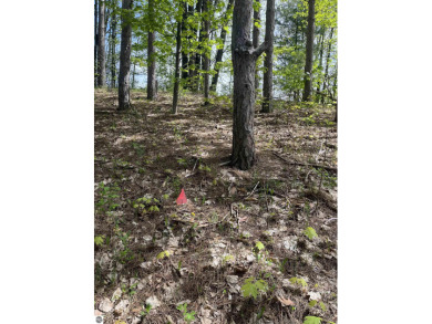 Beach Lot Off Market in Traverse City, Michigan