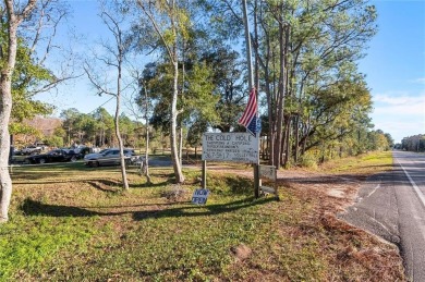 Beach Acreage For Sale in Theodore, Alabama