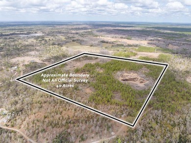 Beach Acreage For Sale in Perry, Florida
