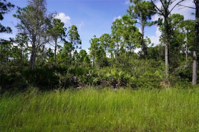 Beach Lot Sale Pending in Punta Gorda, Florida