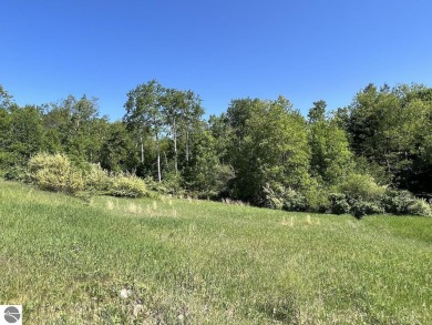 Beach Acreage Off Market in Alden, Michigan