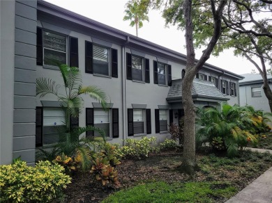 Beach Condo For Sale in South Pasadena, Florida