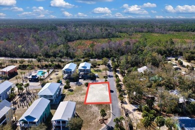 Beach Lot For Sale in Steinhatchee, Florida