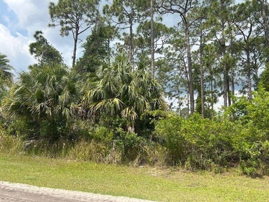 Beach Lot For Sale in Vero Beach, Florida