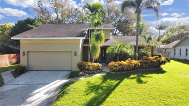 Beach Home For Sale in Palm Harbor, Florida