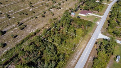 Beach Lot For Sale in Punta Gorda, Florida