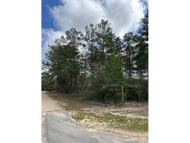 Beach Lot For Sale in Mossy Head, Florida