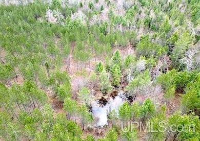 Beach Acreage For Sale in Wetmore, Michigan