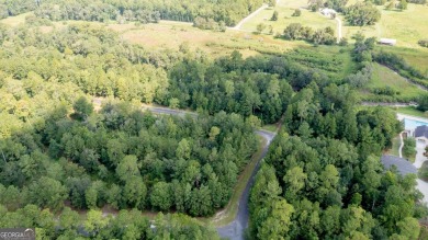 Beach Lot For Sale in Woodbine, Georgia