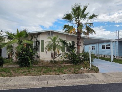 Beach Home For Sale in Tarpon Springs, Florida