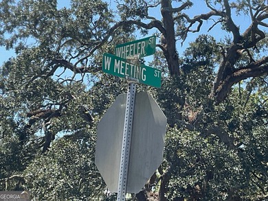 Beach Lot Sale Pending in Saint Marys, Georgia