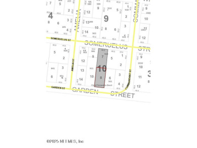 Beach Lot For Sale in Fernandina Beach, Florida