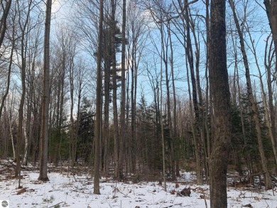 Beach Lot Off Market in Twining, Michigan