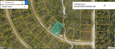 Beach Lot For Sale in North Port, Florida