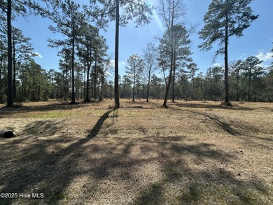 Beach Acreage For Sale in Belhaven, North Carolina