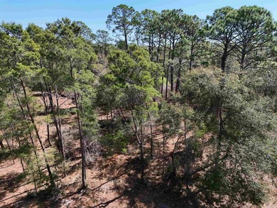 Beach Acreage For Sale in Carabelle, Florida
