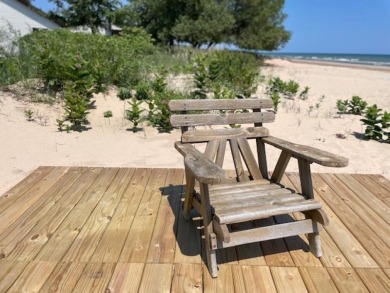 Fun in the Sun!!! - Beach Condo for sale in Oscoda, Michigan on Beachhouse.com